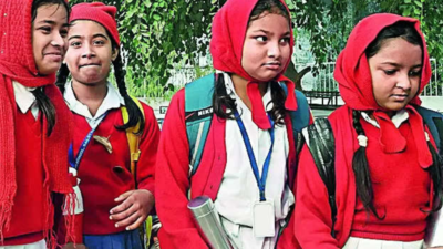 No school for students up to Class VIII in Patna, 3 other districts till January 16