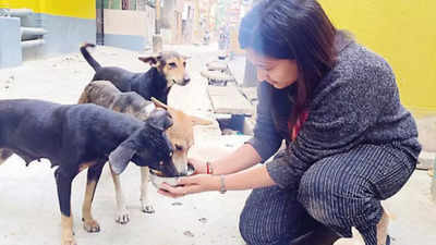 Locals thrash Dum Dum teacher with bamboo sticks for feeding stray dogs