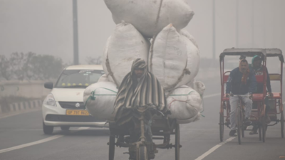 Days set to get warmer in Delhi, max temperature to peak at 33 degrees this  week