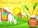 75+ Happy Pongal messages, greetings, wishes, and quotes for 2024