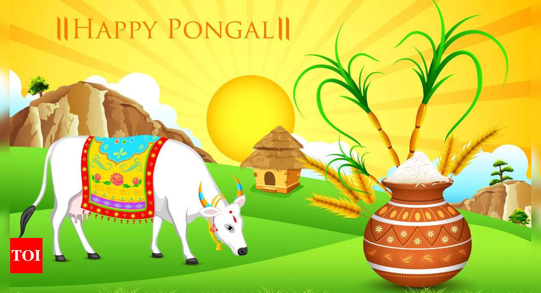 Happy pongal holiday harvest festival of tamil nadu south india greeting  card design 16968874 Vector Art at Vecteezy