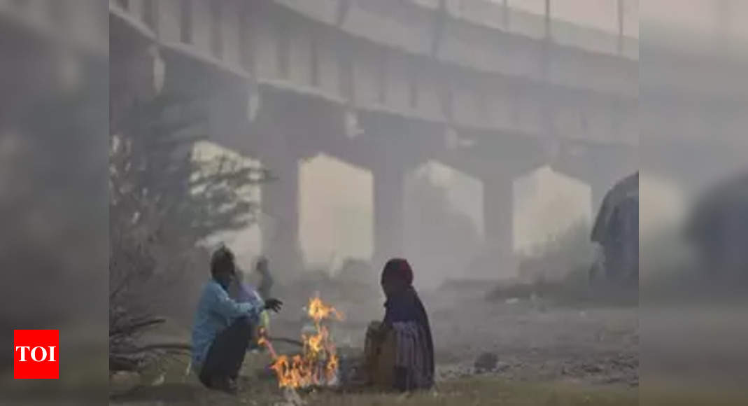 North India shivers as IMD warns of severe cold wave till January 15 | India News