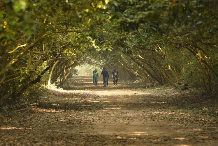 Bhitarkanika National Park