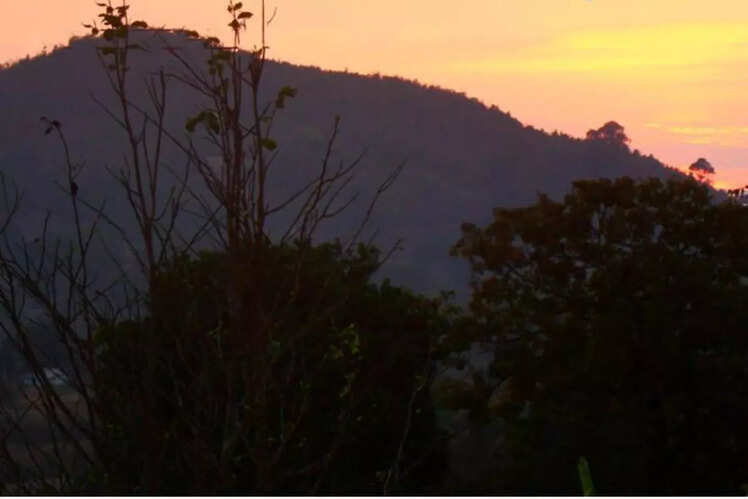 Daringbadi