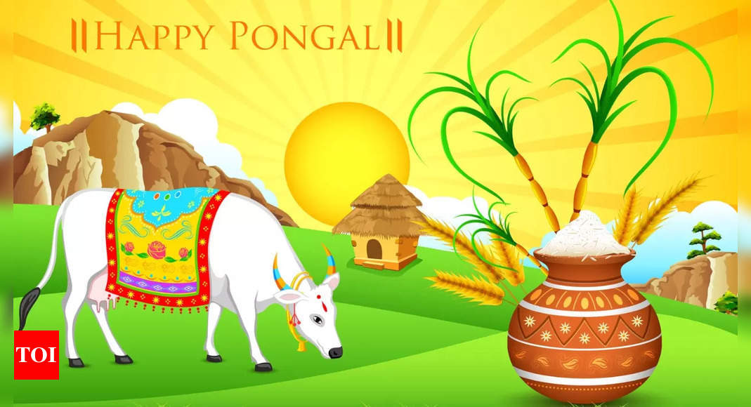 Pongal 2024 7 dishes that are a musthave on Pongal Times of India