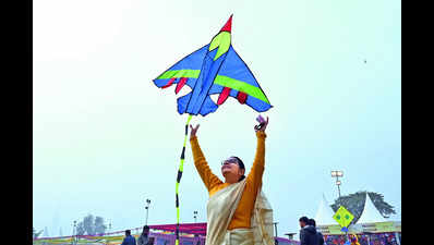 By the Yamuna, kites of various hues and crafts bring sky alive