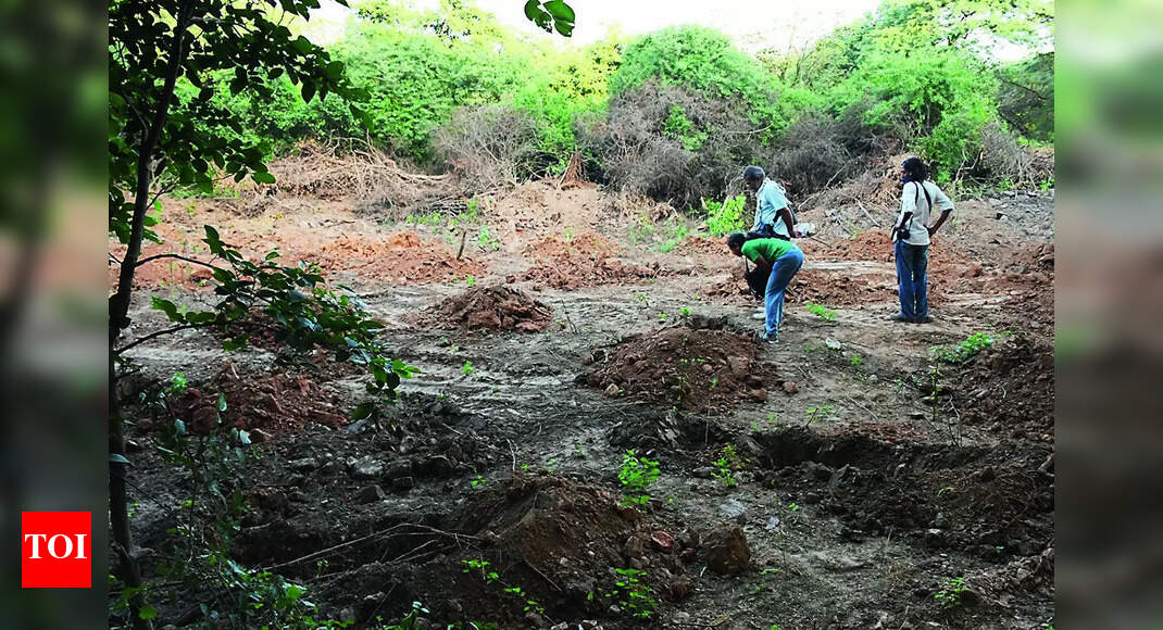 Hc Asks Govt To Clear Stand On Encroachments In Forest Areas | Delhi ...