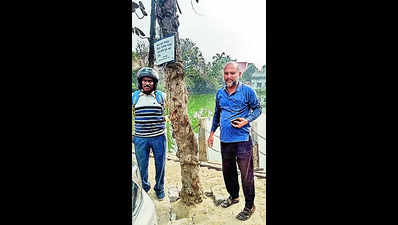 PWD corrective action after trees gasp for breath