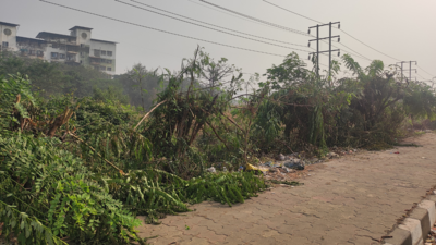 Navi Mumbai: Over 70 trees hacked near Kharghar toll plaza