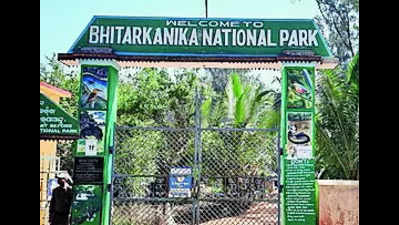 ‘Slow growth rate of adult crocs boon for nat’l park’
