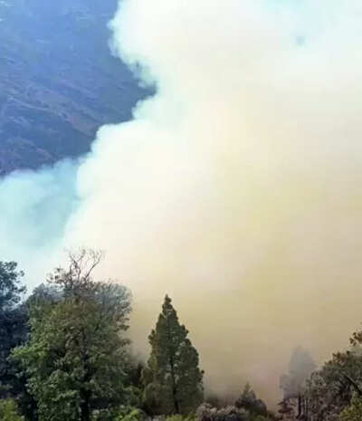 Forest Fire Concerns Dry season amplifies forest fire concerns in