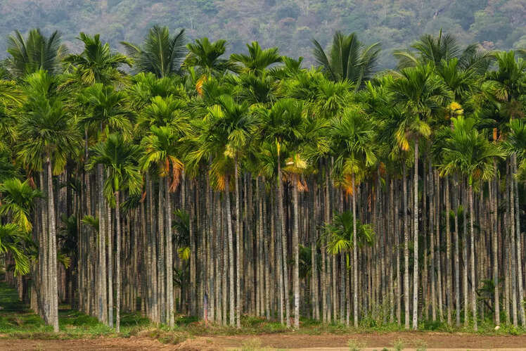 Coimbatore, Tamil Nadu