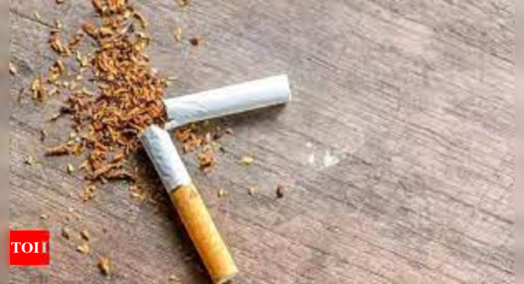 Smuggled cigarette worth Rs 10 crores seized at Mumbai's Nhava Sheva ...