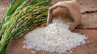 Makanan Pokok Nasi