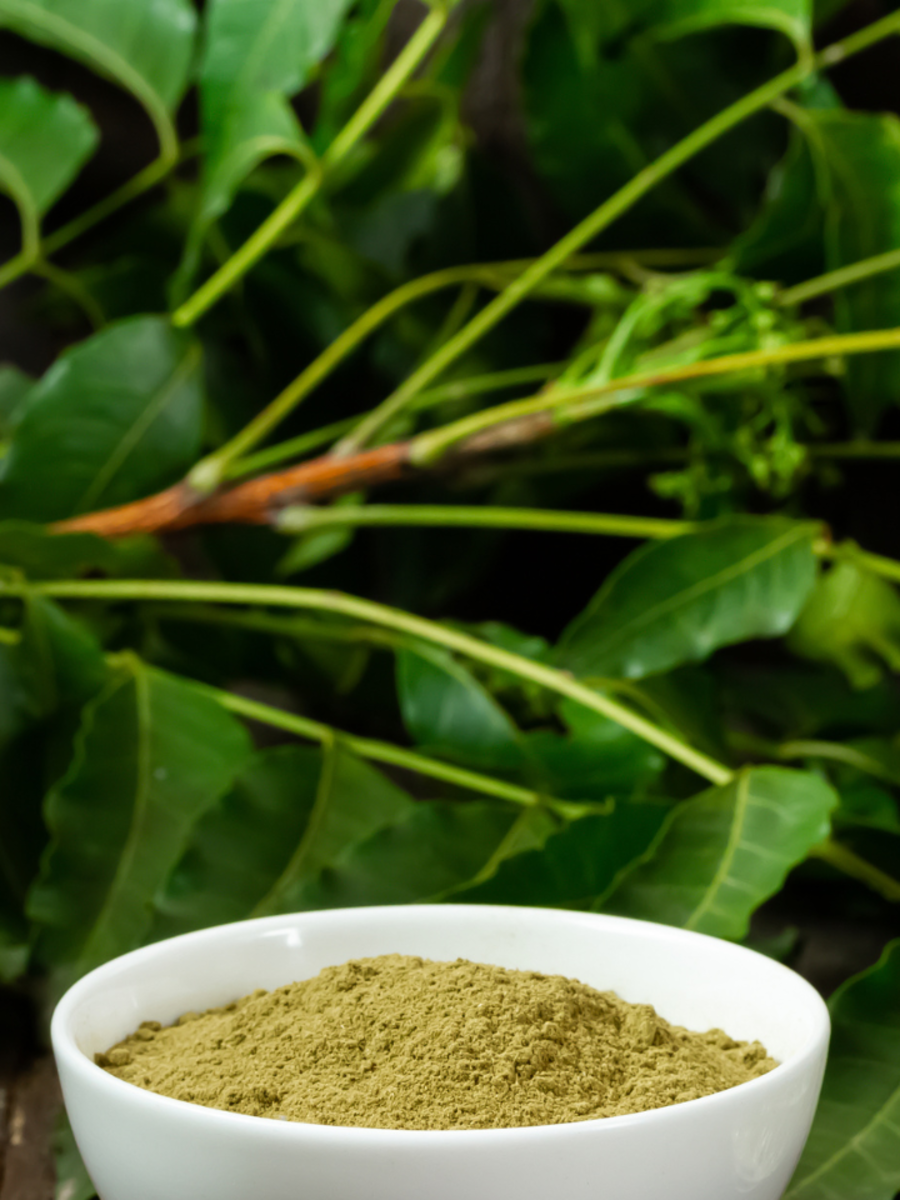 10 benefits of neem powder and its culinary uses Times of India