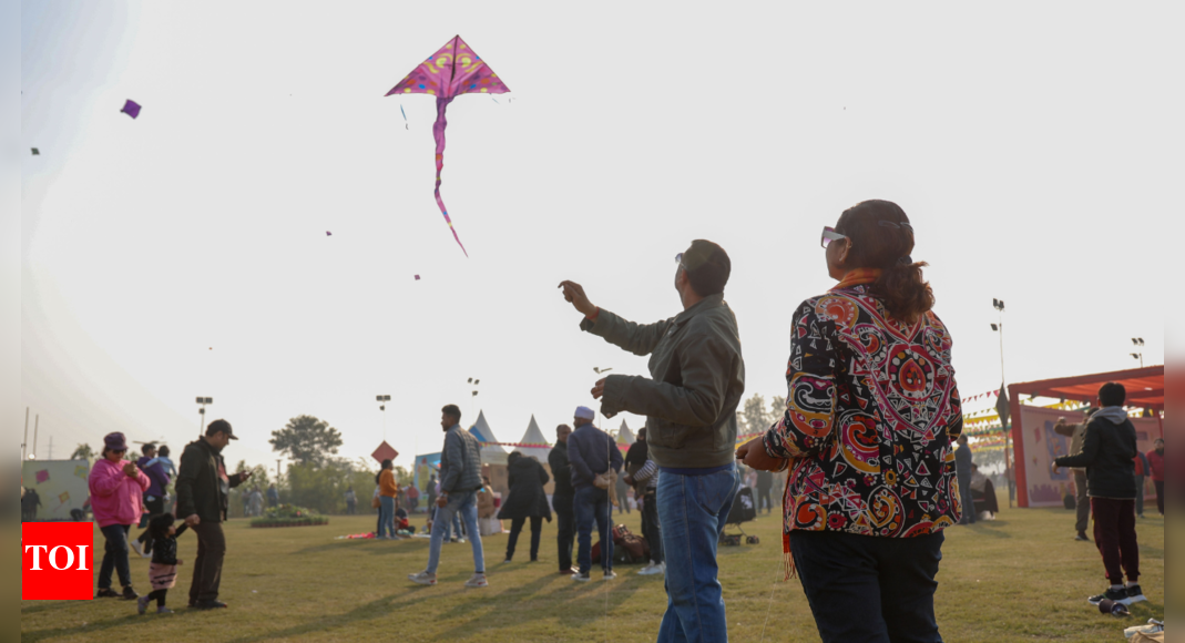 Bamboo park in Delhi turns into kiteflying ground for Patang Utsav