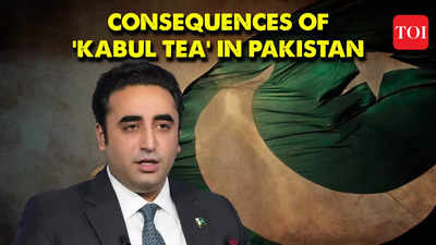 'We invited terrorists to live in Karachi': Bilawal Bhutto drops bombshell on Pak govt's decision to hold Taliban talks