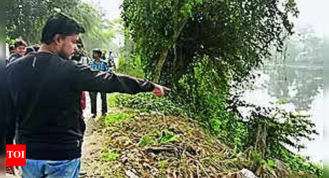 55-yr-old kills wife, chops body, dumps parts in canal