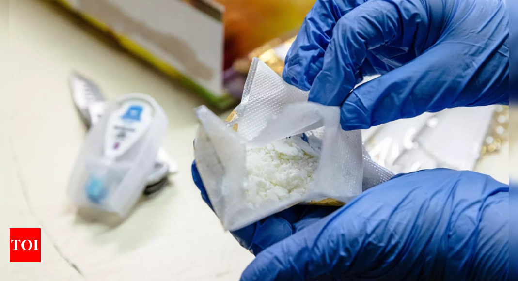 Belgian Customs Seize Record Amount of Cocaine in Antwerp Port as EU Faces Rise in Drug-Related Violence | World News – Times of India