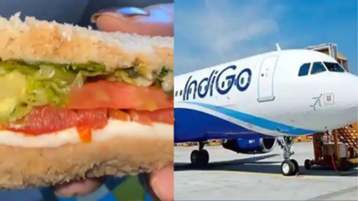 Worm in IndiGo sandwich fallout: 'Enhance food safety protocols,' flight caterers told