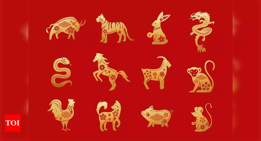 Snake in Chinese Zodiac The strong will and determination of the