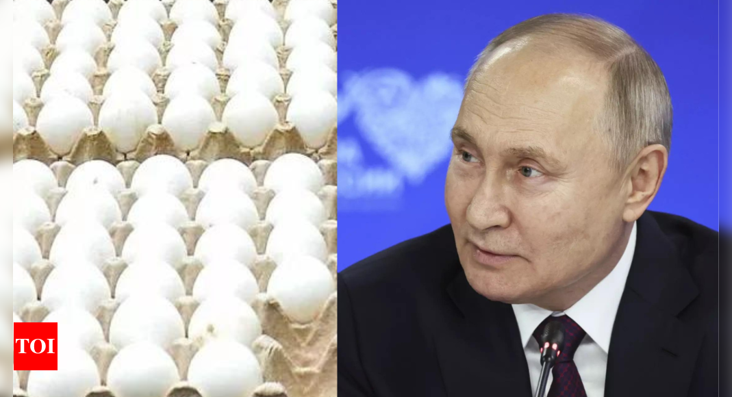 Russia Seeks Egg Supplies from Kazakhstan to Help Stem Rising Prices | World News – Times of India