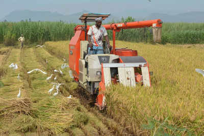 Govt can look at taxing rich farmers, says MPC member | India Business ...