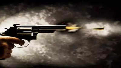 Eight Bawariya gang robbers suffer bullet injuries in encounter with Chandauli police