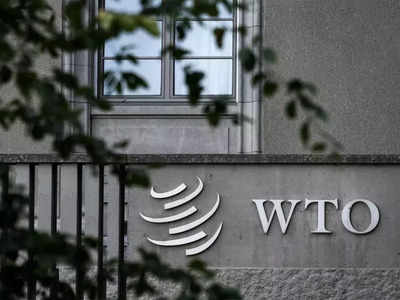 India seeks WTO decision on public stockholding