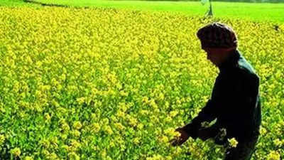 GM crops in national interest: Centre