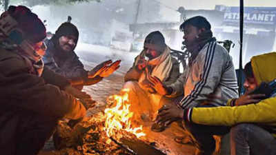‘Cold day’ condition to continue for 2-3 days in Uttar Pradesh