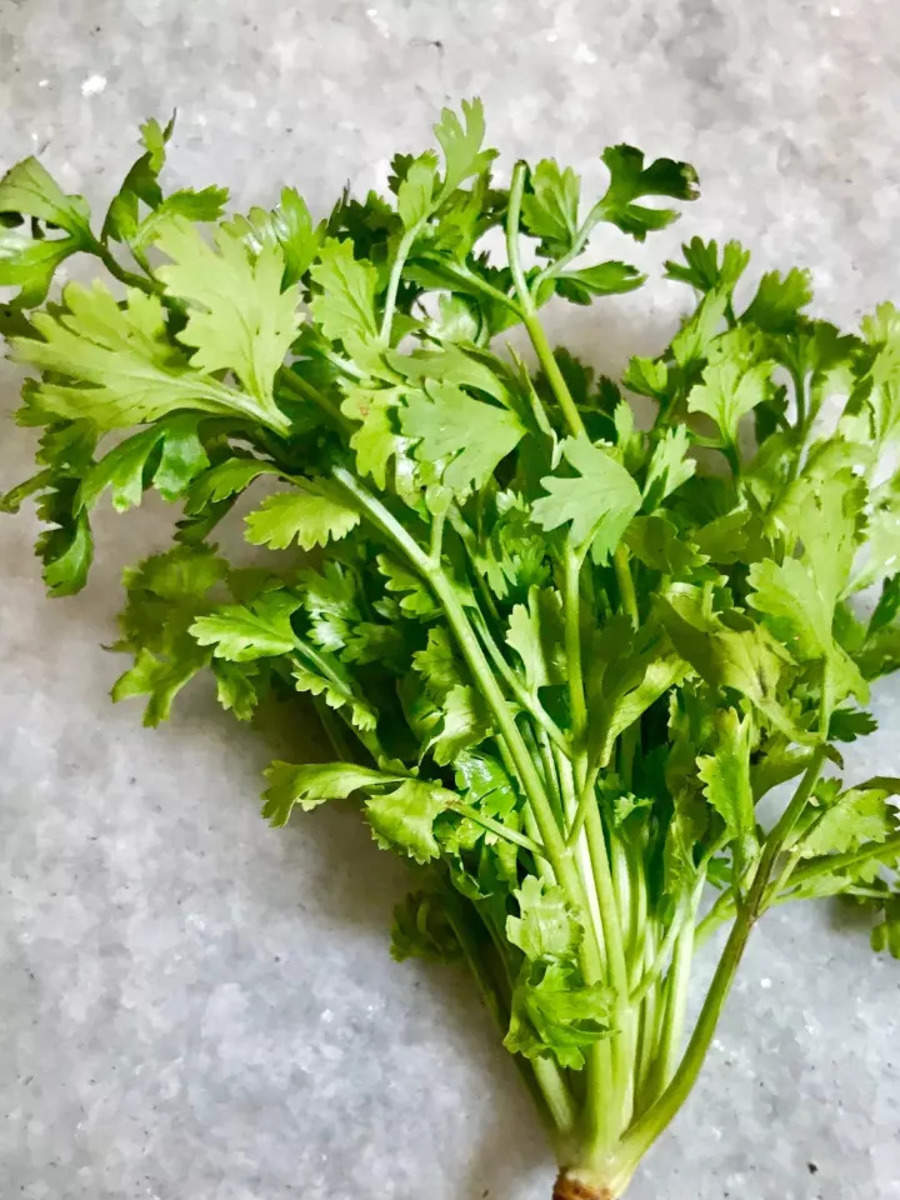 10 creative ways to use coriander leaves Times of India