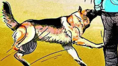 In Ahmedabad, dog owner gets one year in jail after canine attacks neighbours