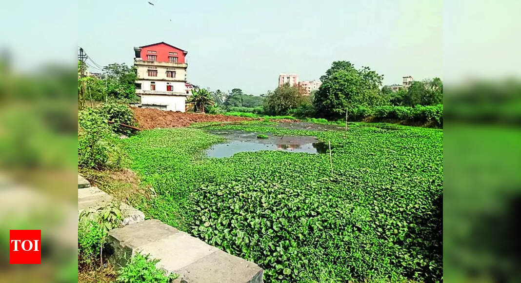 Water Plant Protests over plan to set up water plant on Borsola Beel