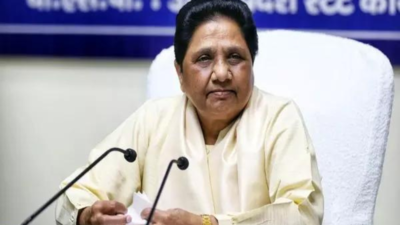 BSP workers have enormous responsibility to bring better results in Lok Sabha elections: Mayawati
