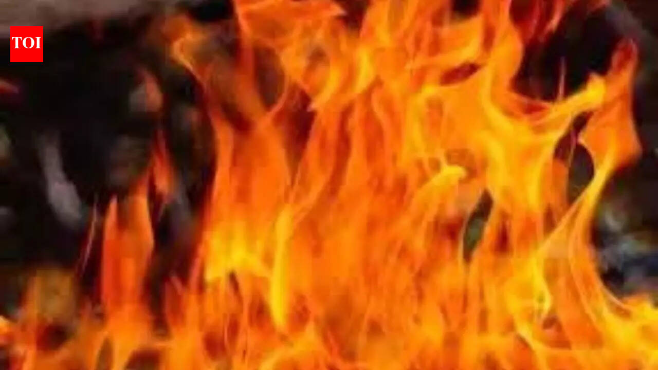 Jammu & Kashmir: Fire breaks out in Trikuta hills near Vaishno Devi ...