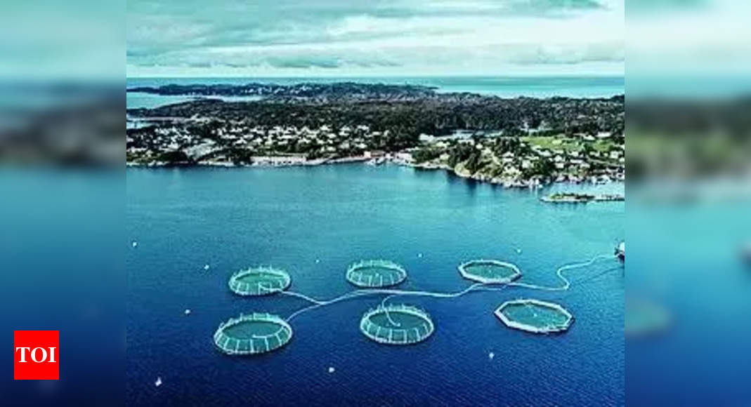 Salmon farms in Scotland struggle to scale