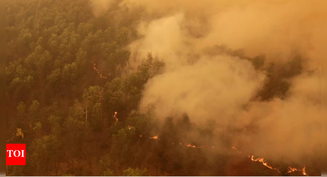 IPCC New Scientific Reports on Climate Change Ahead of India COP33 2028