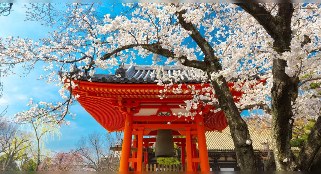 6 cool reasons why Japan should be on your bucketlist this year | Times ...