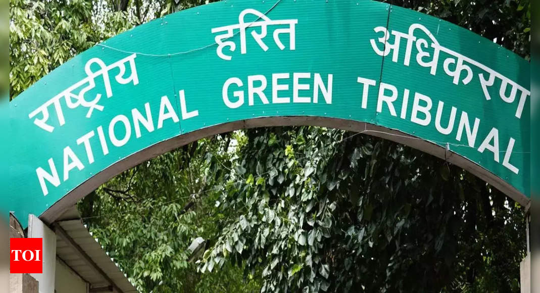 NGT forms panel to find factual position about pollution in river Ganga at Prayagraj | India News – Times of India