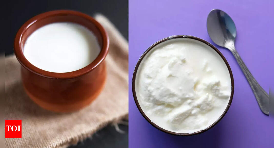 Curd vs Yoghurt Understanding the Differences Times of India