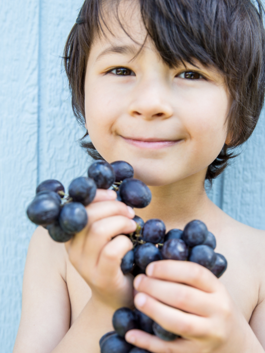 ​​Black Grapes Benefits: 10 stellar reasons to eat this winter fruit​ - Vimarsana News
