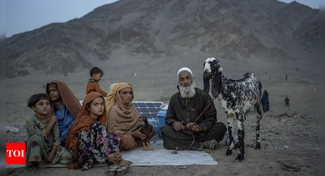 Un demi-million d'Afghans rentrent du Pakistan (Organisation internationale pour les migrations)