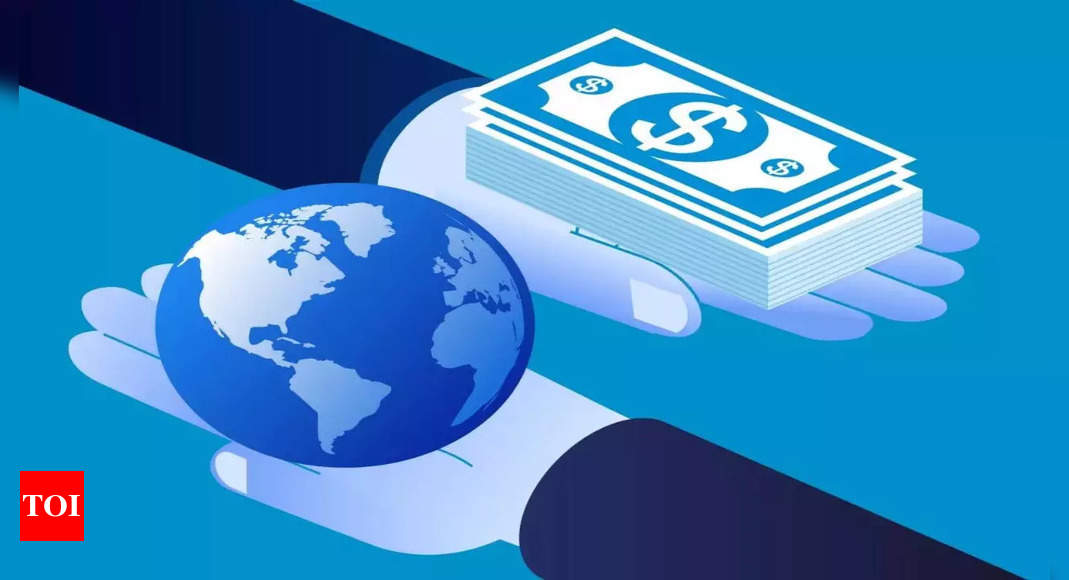 Outward Remittances by Indians in November Fall to Lowest Level Since February 2022 | India Business News