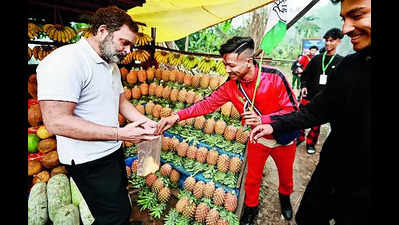 Rahul all praise for Meghalaya pineapples