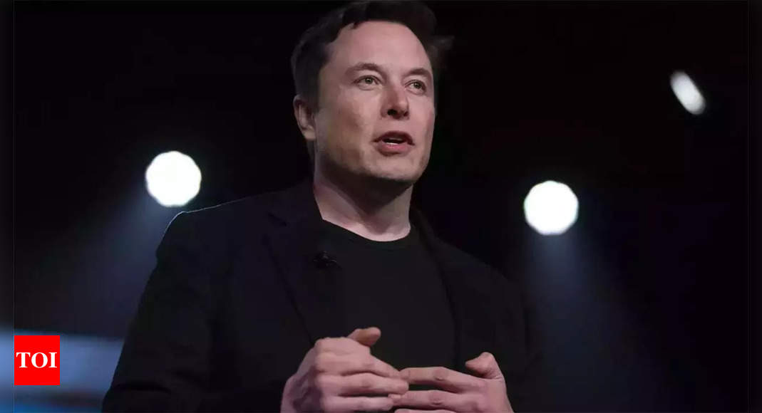 Elon Musk: India’s Exclusion from UNSC is Absurd | World News