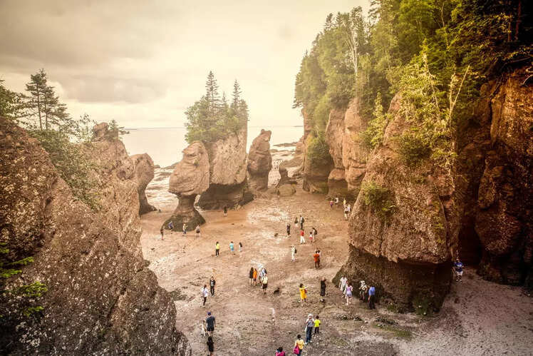 Hopewell Rocks, New Brunswick