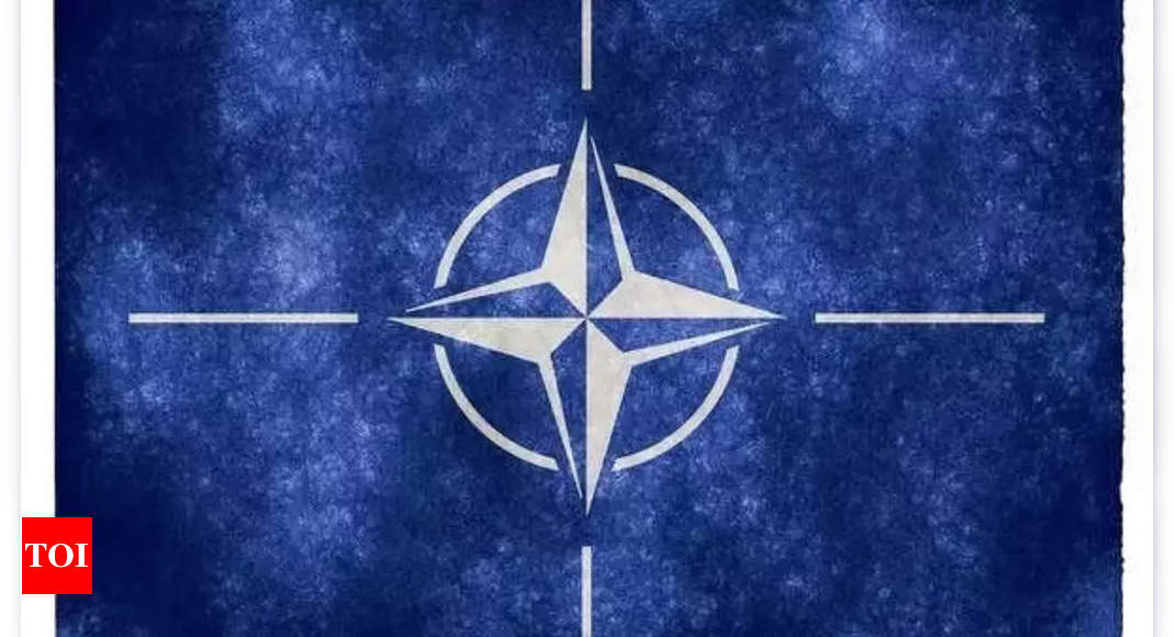 La Turquie va approuver la candidature de la Suède à l'OTAN : dernière mise à jour | [News Publication] |  Nouvelles du monde