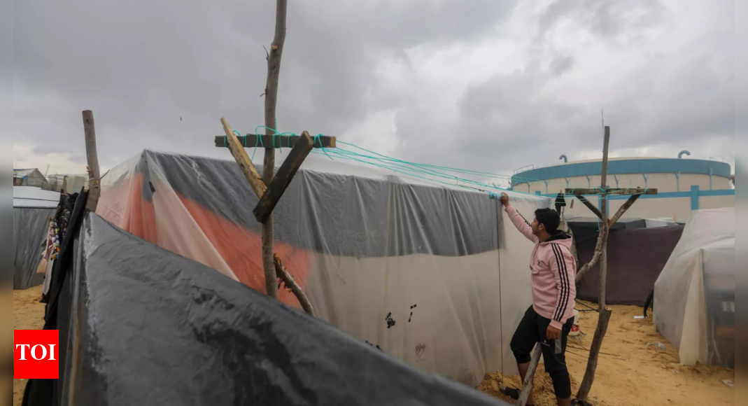 World Food Programme: risk of having pockets of famine in Gaza remains ...