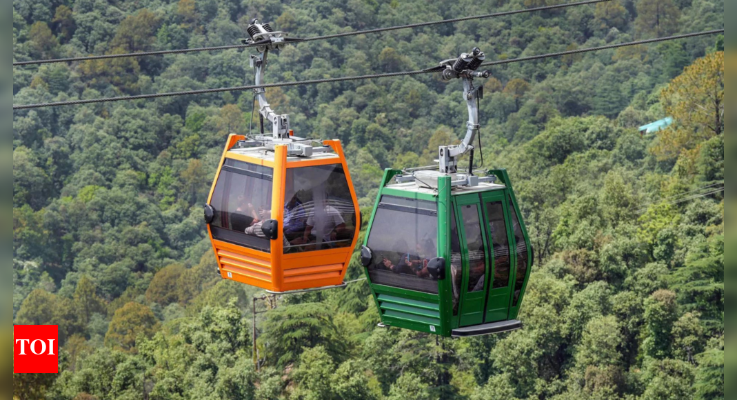 Focus on feasibility reports to avoid delay in bidding out of ropeway projects: Global players to Government